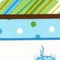 Celebrate Seuss 2