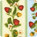 Fresh Strawberries