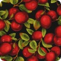 Fresh Cranberries
