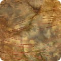 Artisan Batiks: Countryside