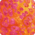 Artisan Batiks: Geoscapes 2