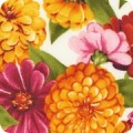 Cottage Flowers