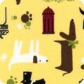 Whiskers & Tails