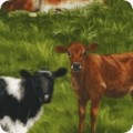 Farm Country