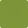 Featured image F019-1192 LIME