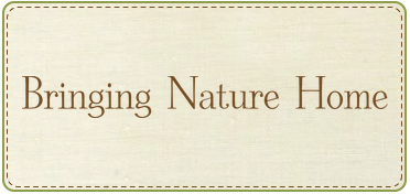 BringingNatureHome.png