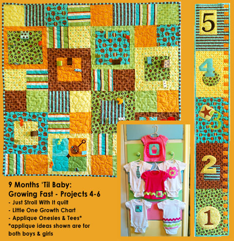 9 Months Til Baby Quilt Robert Kaufman Pattern