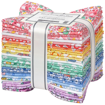 Blast From the Past by Darlene Zimmerman - Complete Collection Fat Quarter Bundle