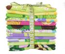 Girl Scouts&reg;, Girl Scout Basic colorstory