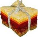 Fusions&reg; Collection: Bouquet, Hen House colorstory