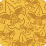 Boy Scouts of America®