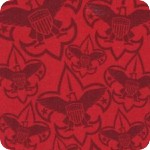 Boy Scouts of America®