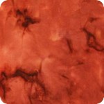 Artisan Batiks: Patina Handpaints