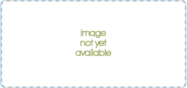 Pattern Fabric pattern