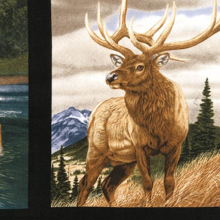 Bringing Nature Home fabric