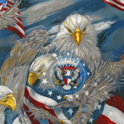 Patriots fabric