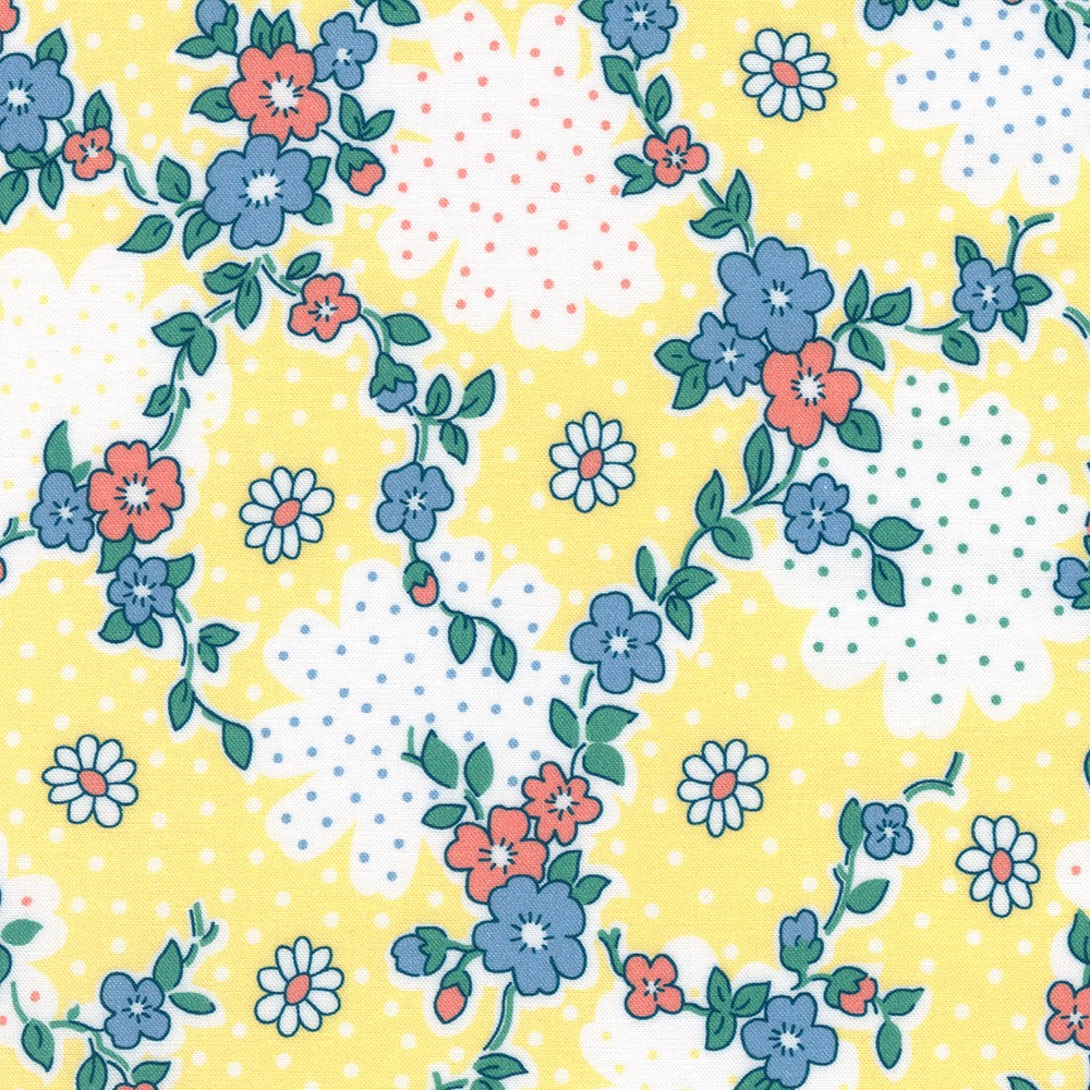 Blast from the Past fabric