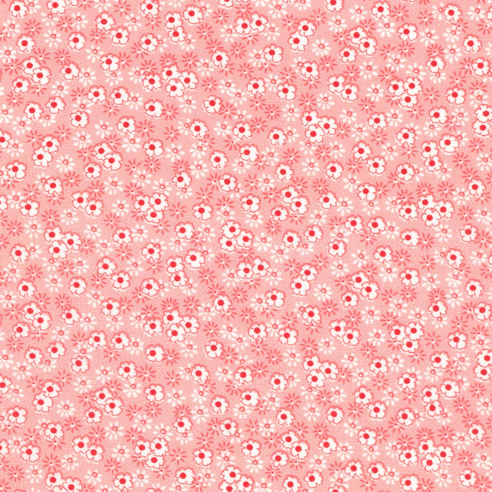 Darlene's Favorites fabric