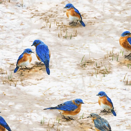 Winter Visitors fabric