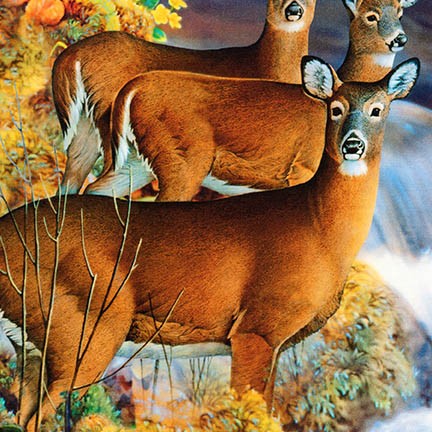 North American Wildlife fabric