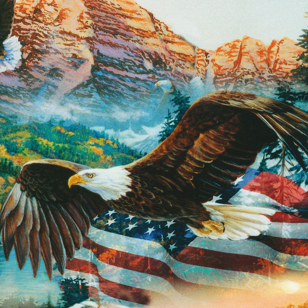 Freedom Flight fabric