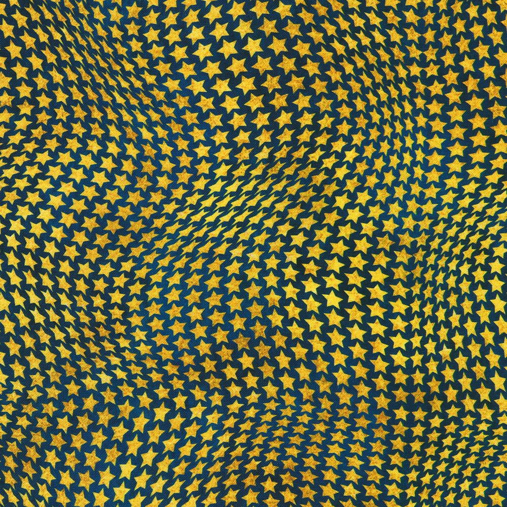 Freedom Flight fabric