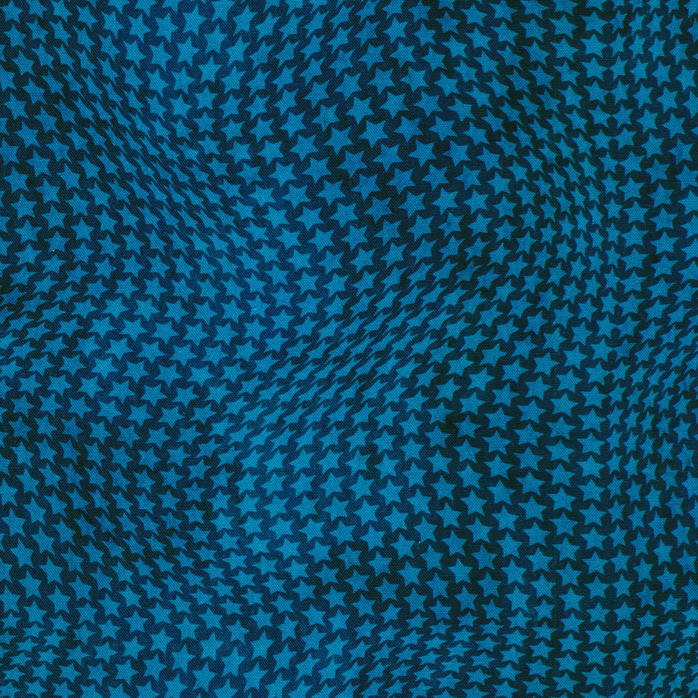 Freedom Flight fabric