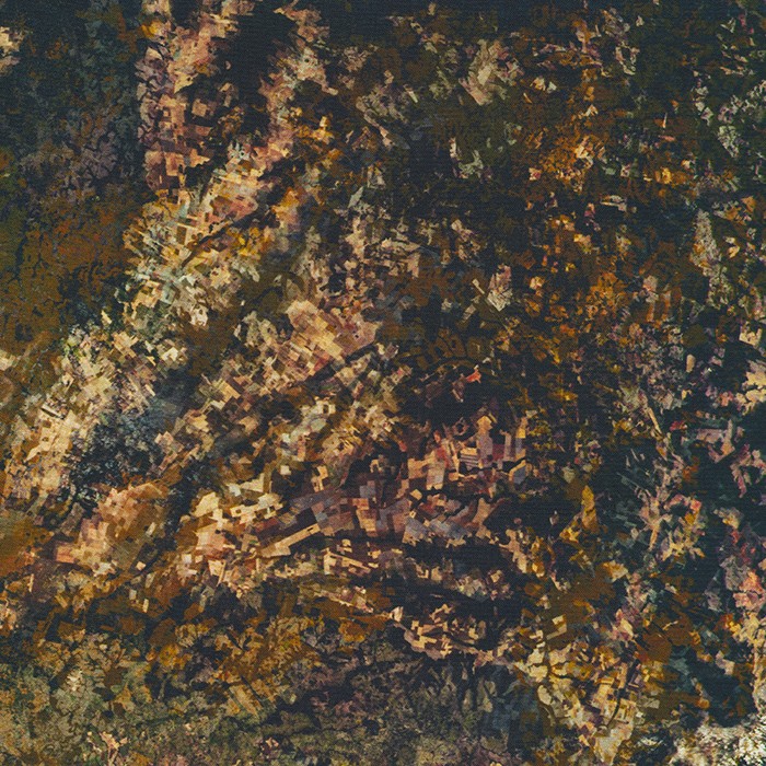 Earth Views fabric