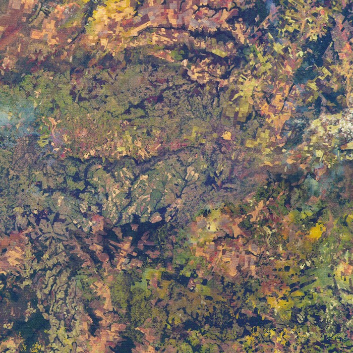 Earth Views fabric