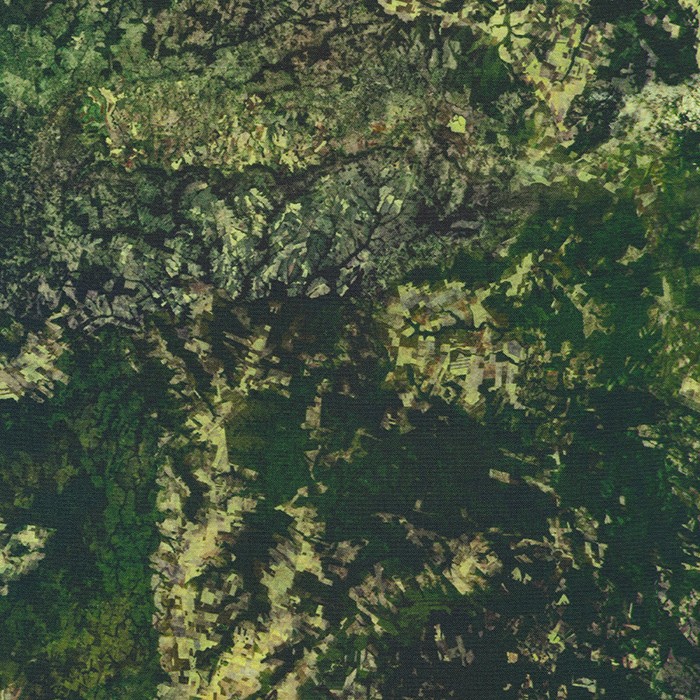Earth Views fabric