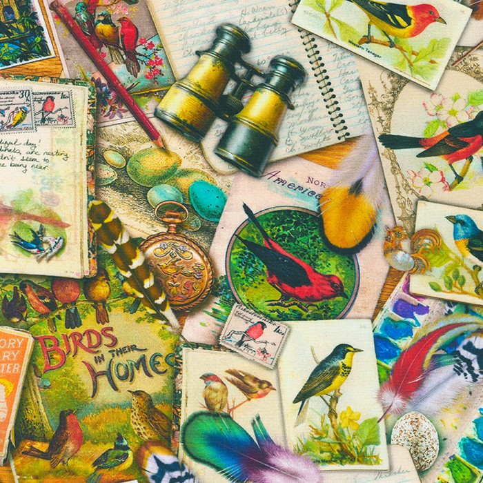 Vintage Birdwatcher fabric