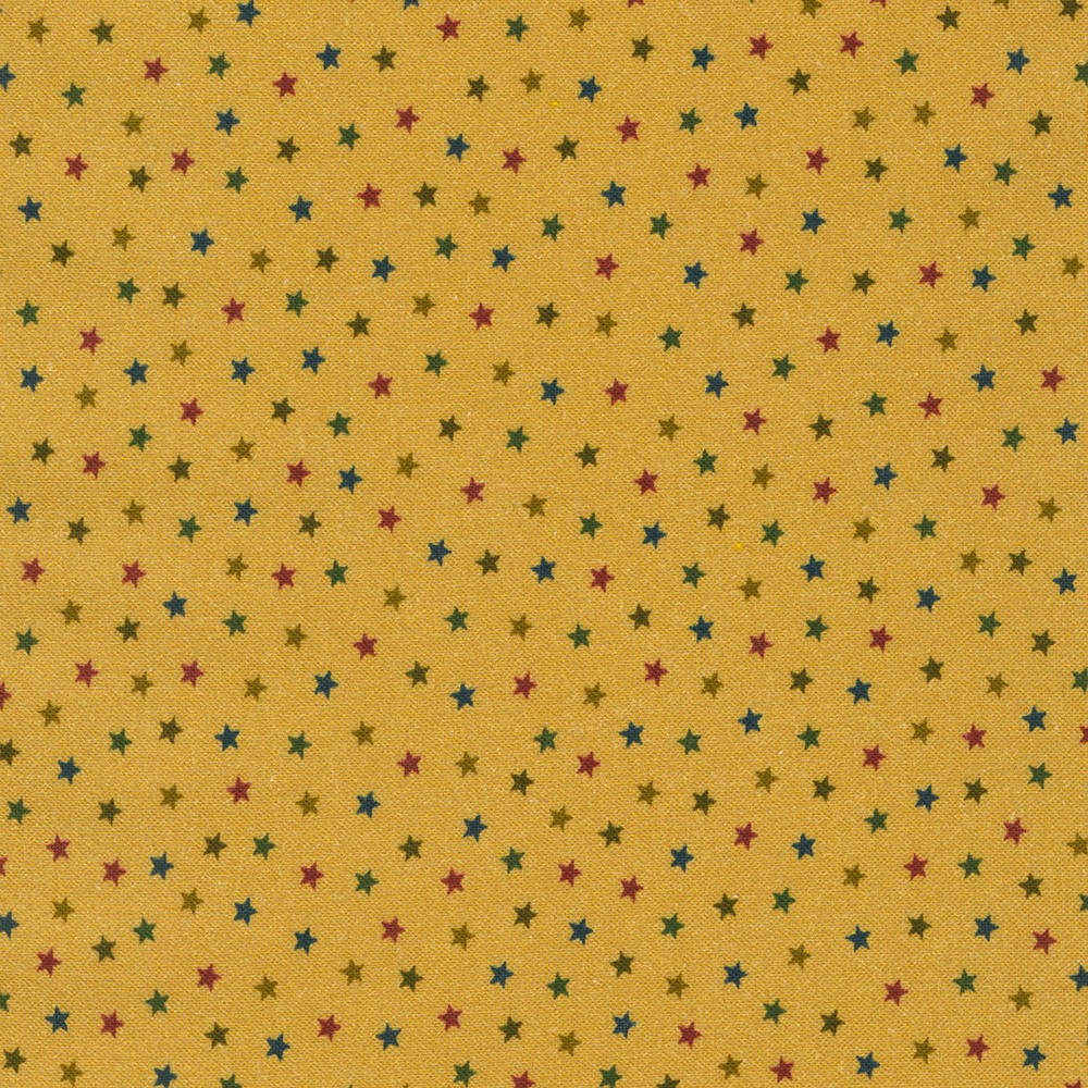Grandpa's Journal fabric