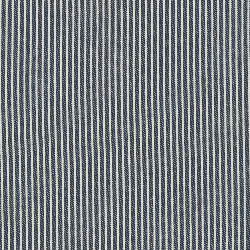 Railroad Denim fabric