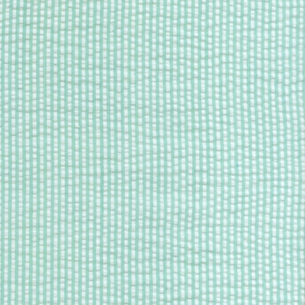 Seersucker Stripe/Check fabric