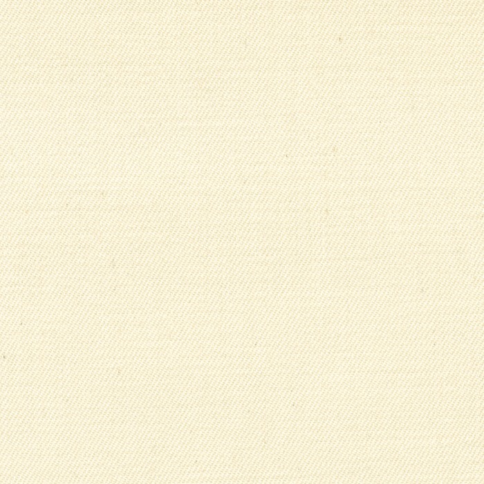 Palisades Stretch Twill PFD fabric