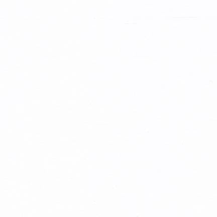 Superluxe Poplin fabric