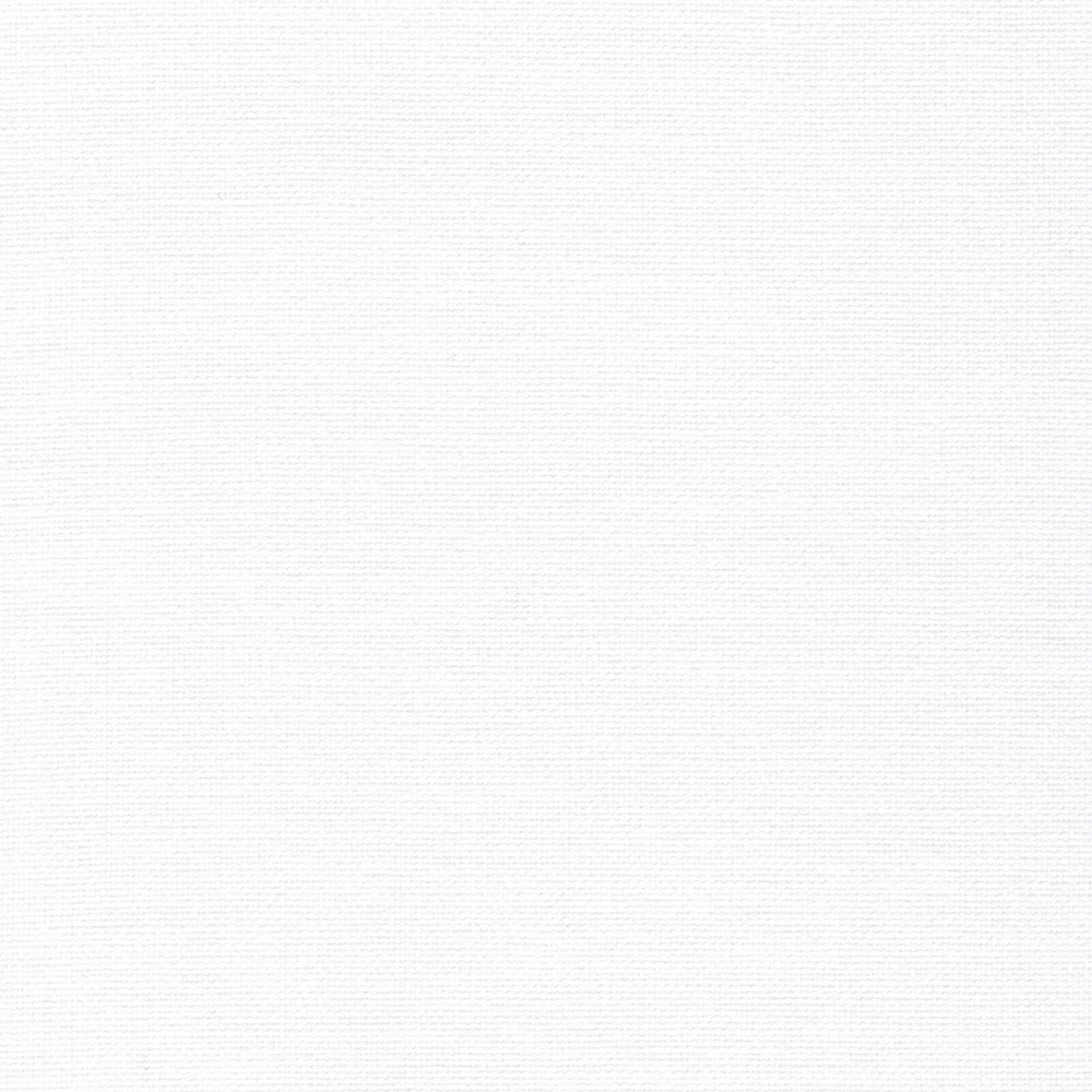 Japanese Classic Oxford 20/2 fabric