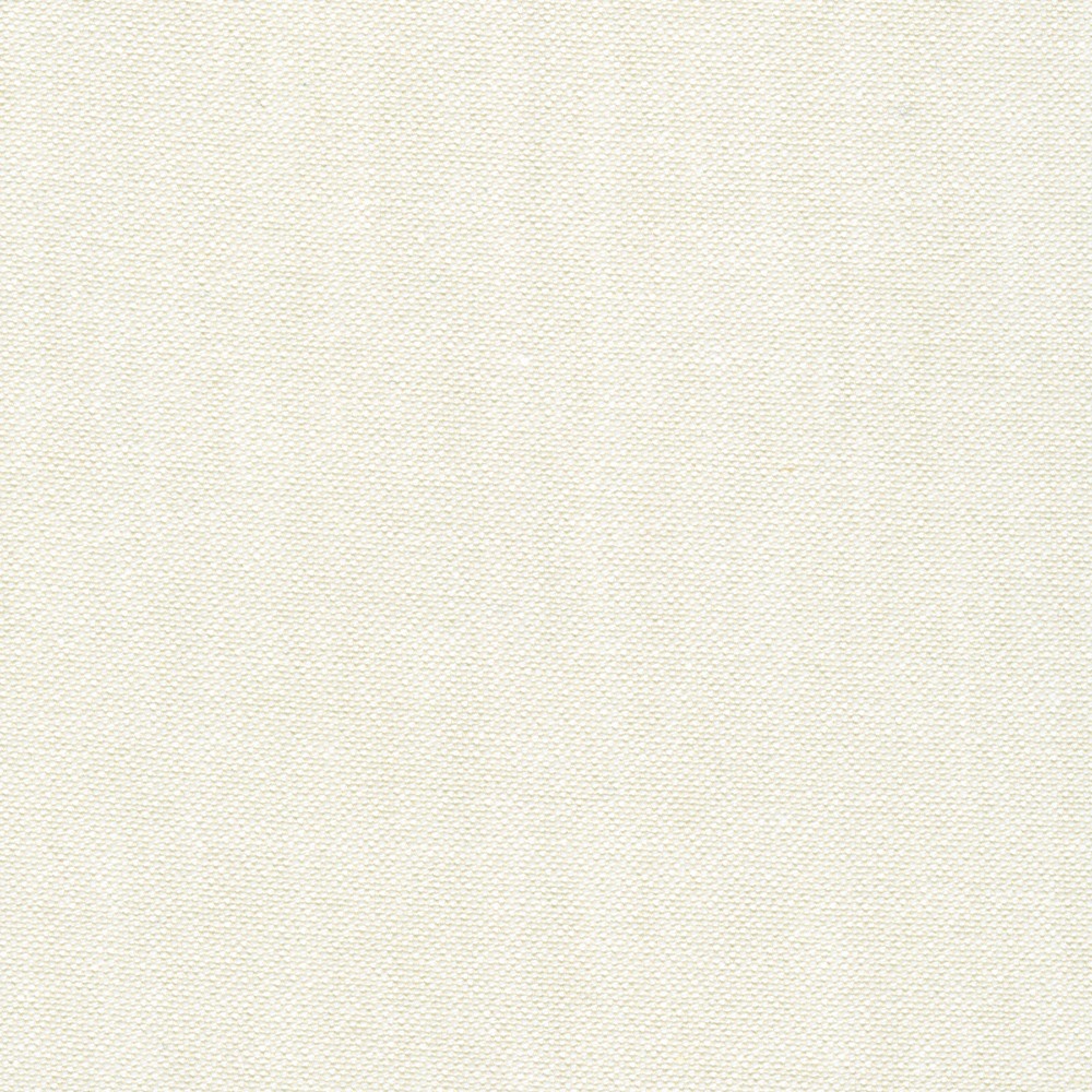 Japanese Classic Oxford 20/2 fabric