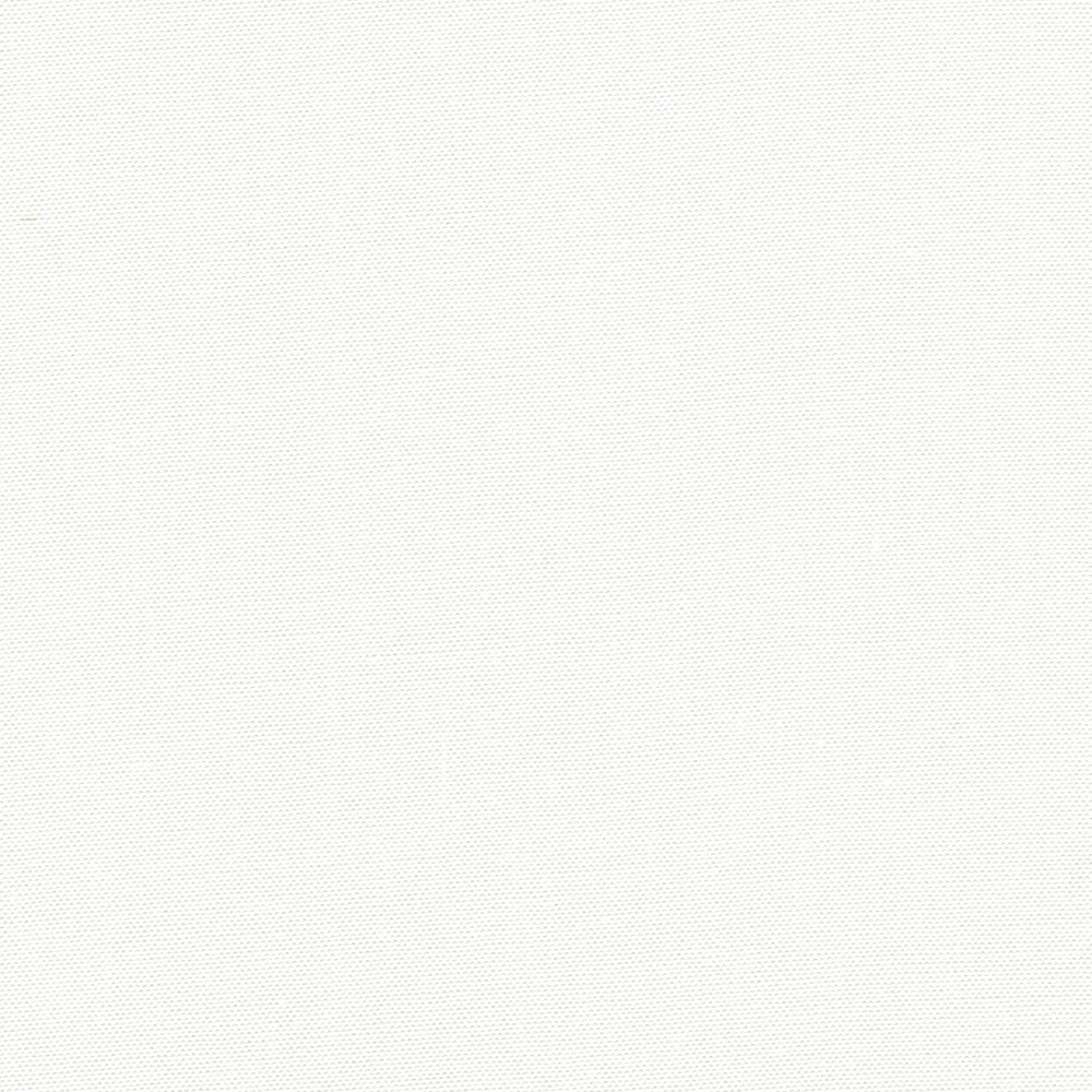 Japanese Classic Oxford 20/2 fabric