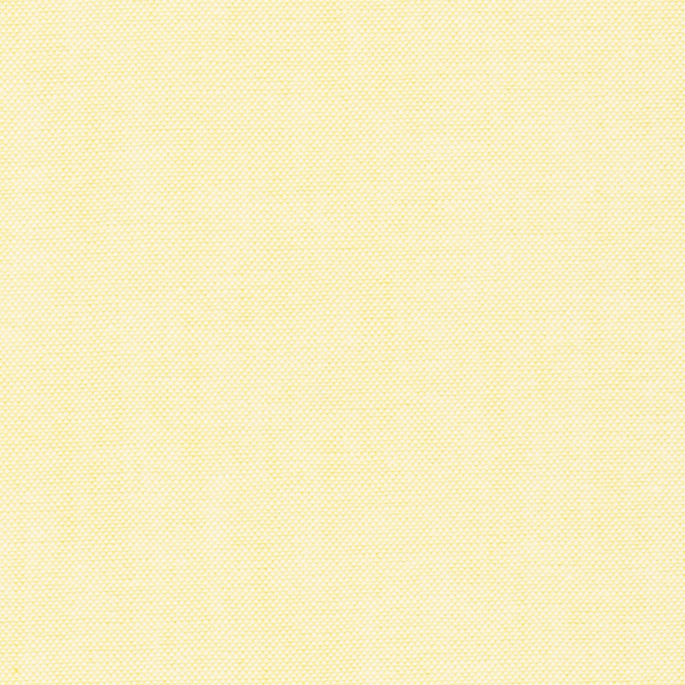 Japanese Classic Oxford 20/2 fabric