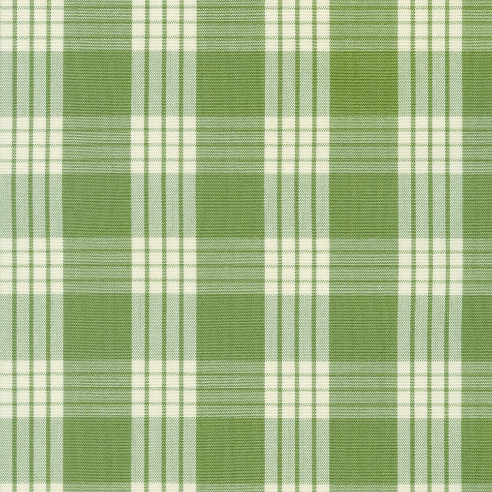 Palaka Plaid fabric