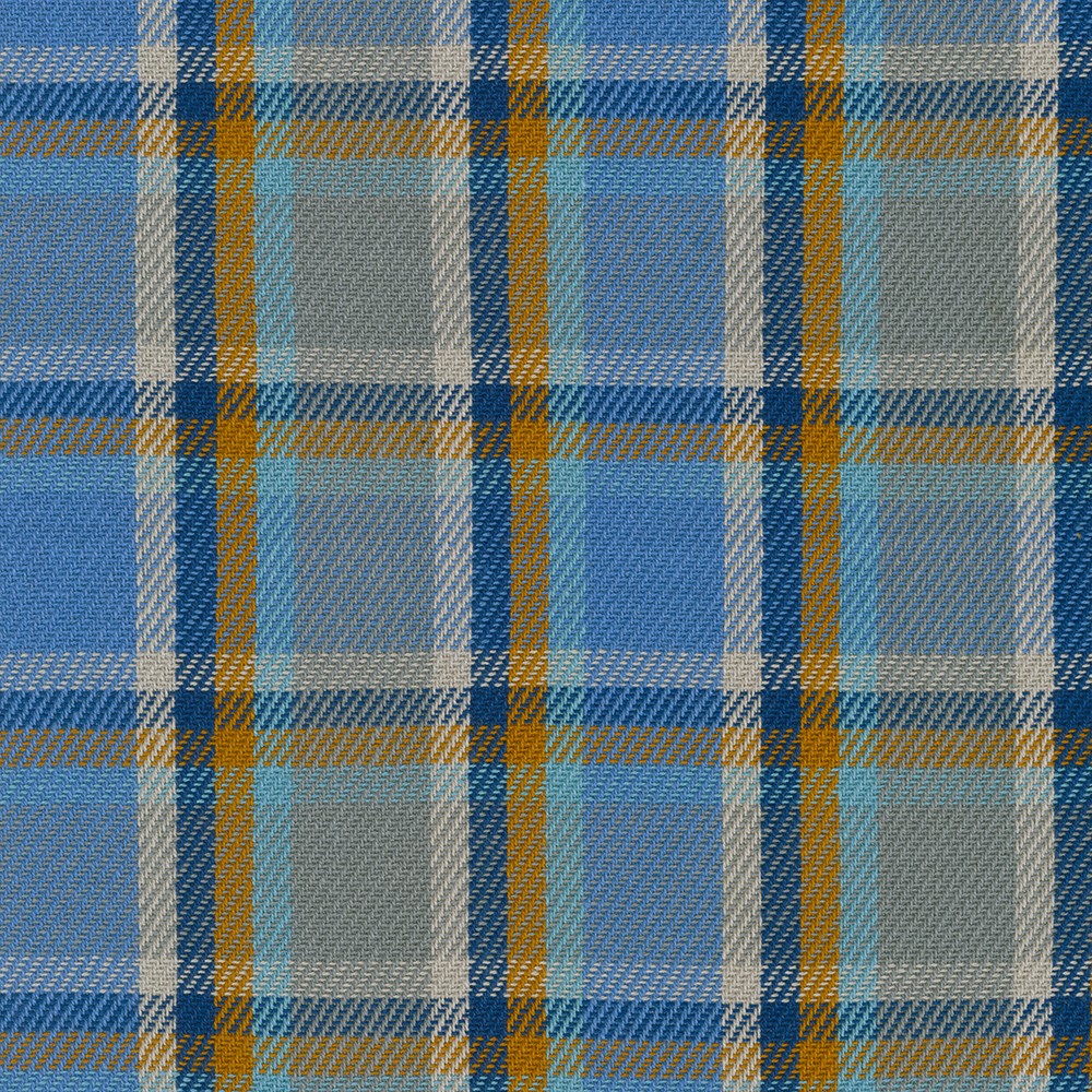 Baja Blanket Plaid fabric