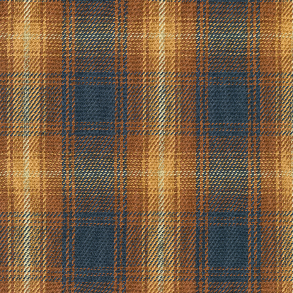 Baja Blanket Plaid fabric
