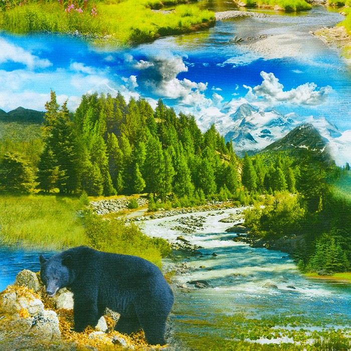 Nature's Wonder fabric