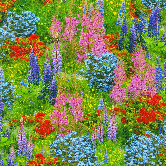 Nature's Wonder fabric