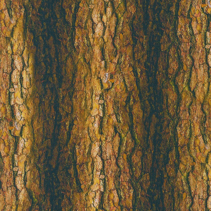 Imaginings fabric