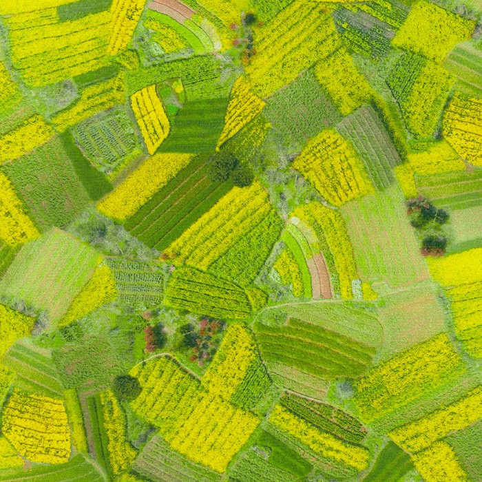 Imaginings fabric