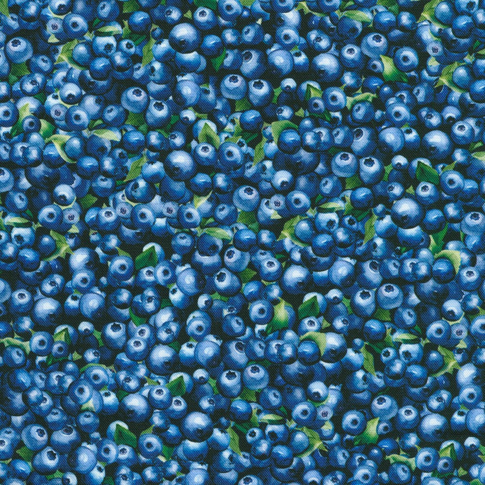 Blueberry Brunch fabric