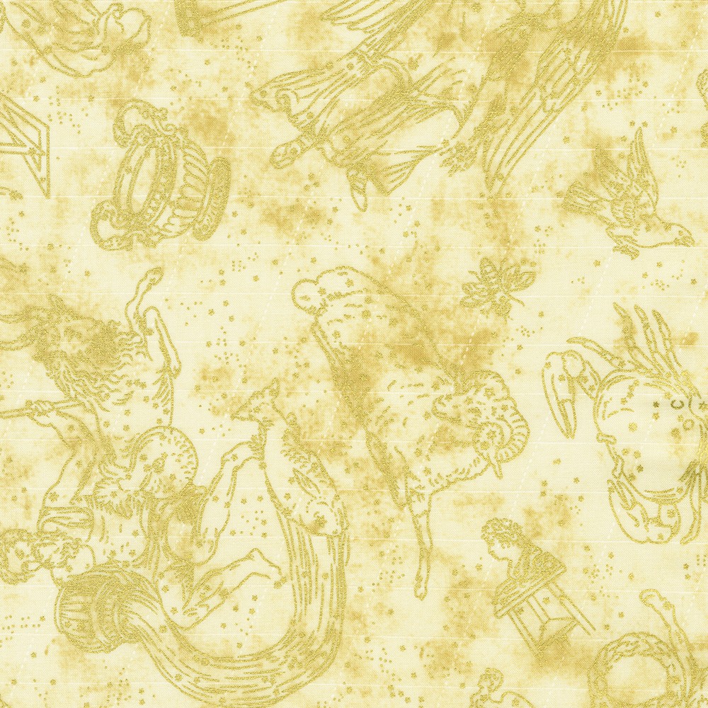 Star Maps fabric