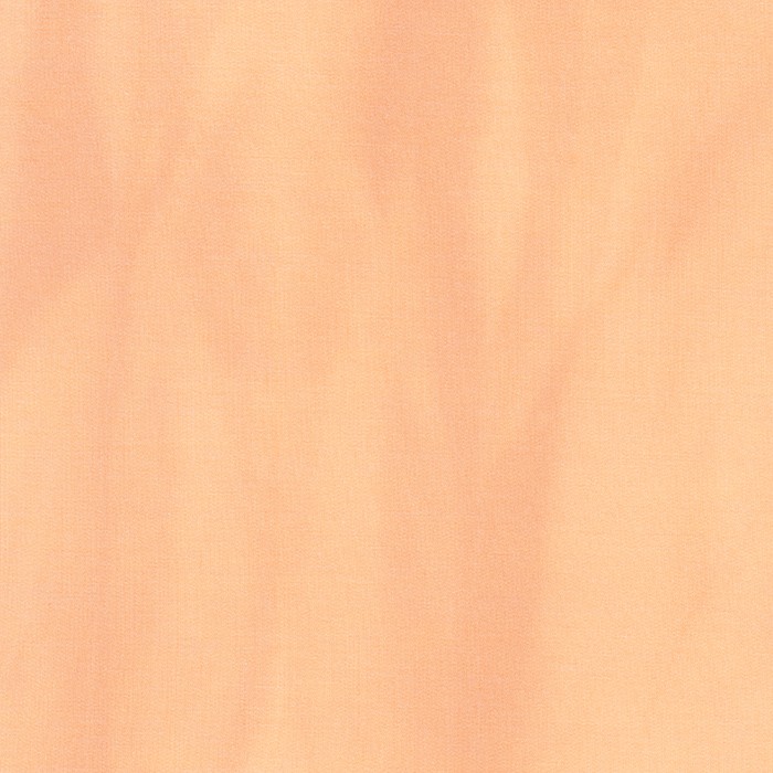 Sunset Studio Collection: T/R French Terry Print fabric